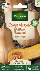 Courge Musquée Waltham Butternut - Légumes d'Autrefois